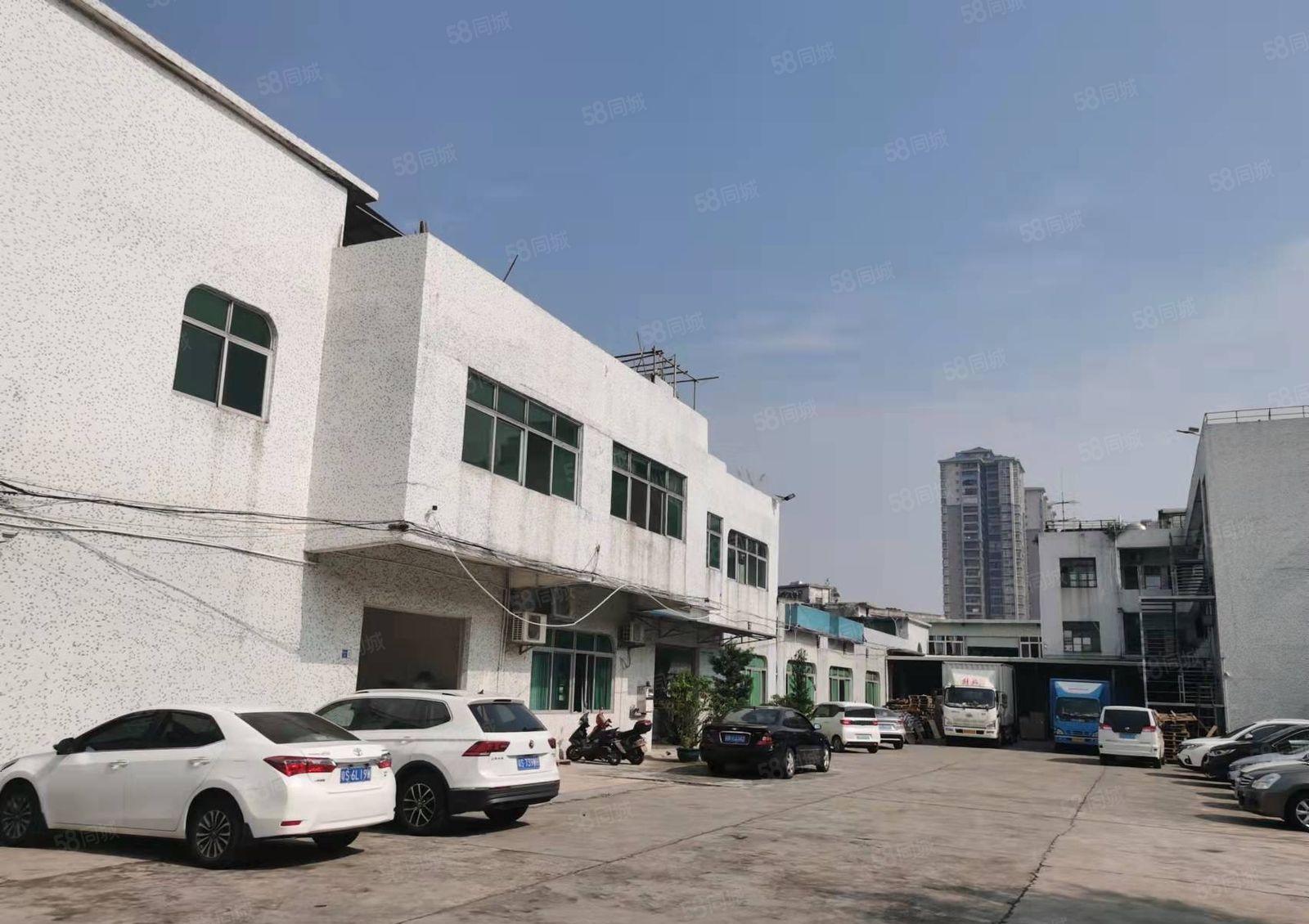 厚街4000房独门独院厂房 超大空地 价格美丽