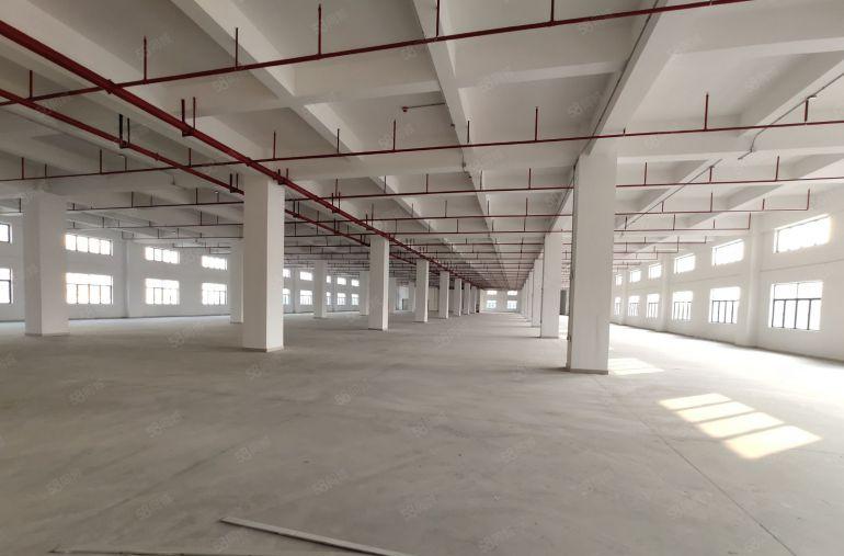 厚街独院 带卸货平台全新标准厂房 层高10米 空地大 原房东