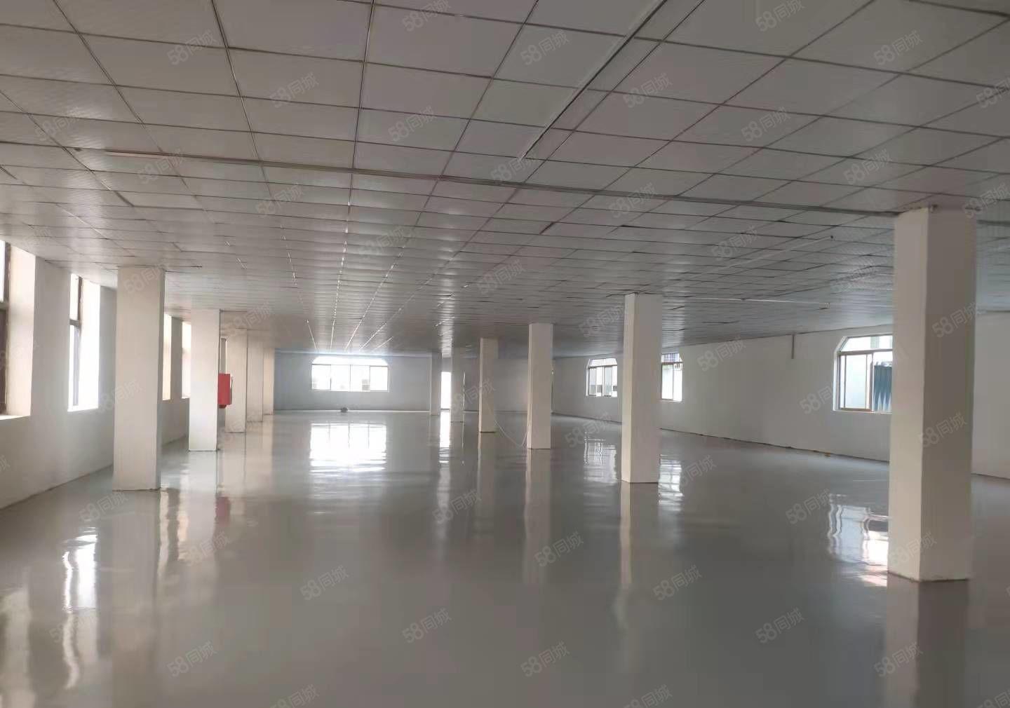 厚街整租16块带环评经典小独院5000平厂房出租