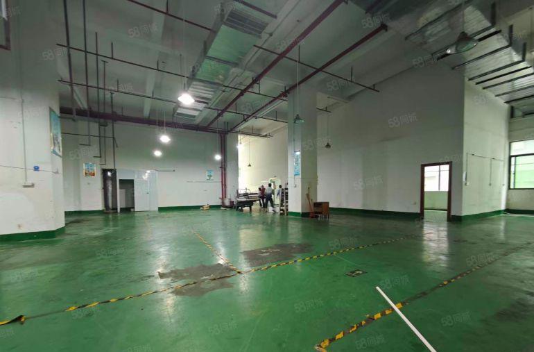 原房东高6.5米一楼厂房出租 现成办公室水电适合五金注塑模具