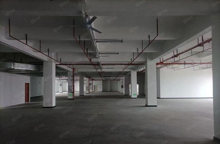 厚街下汴空出五楼2500平现成精装修水电齐全厂房出租仓库出租