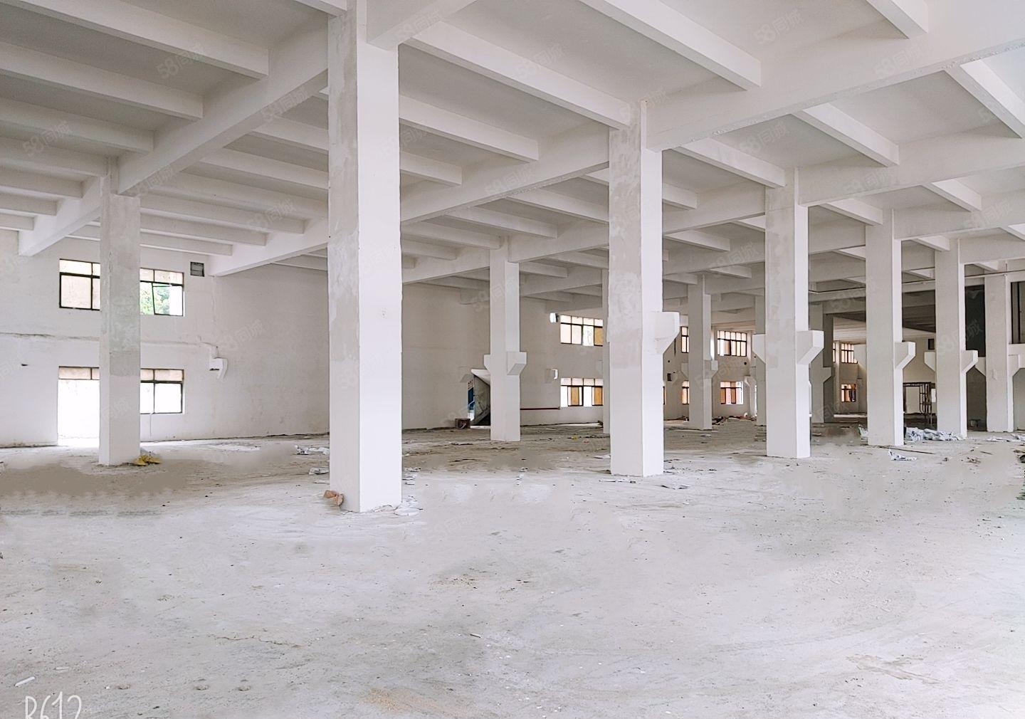 滨海湾片区智能智造高科产业园红本厂房优惠出租一楼带牛角7米高