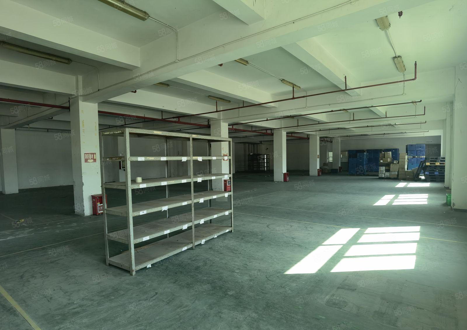 厚街经典独院厂房仓库三层8000方急租