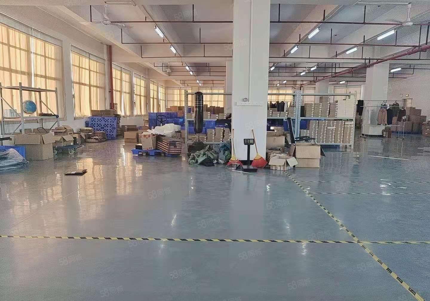 厚街原房东1150平方水电齐全全新地坪漆精装修出租