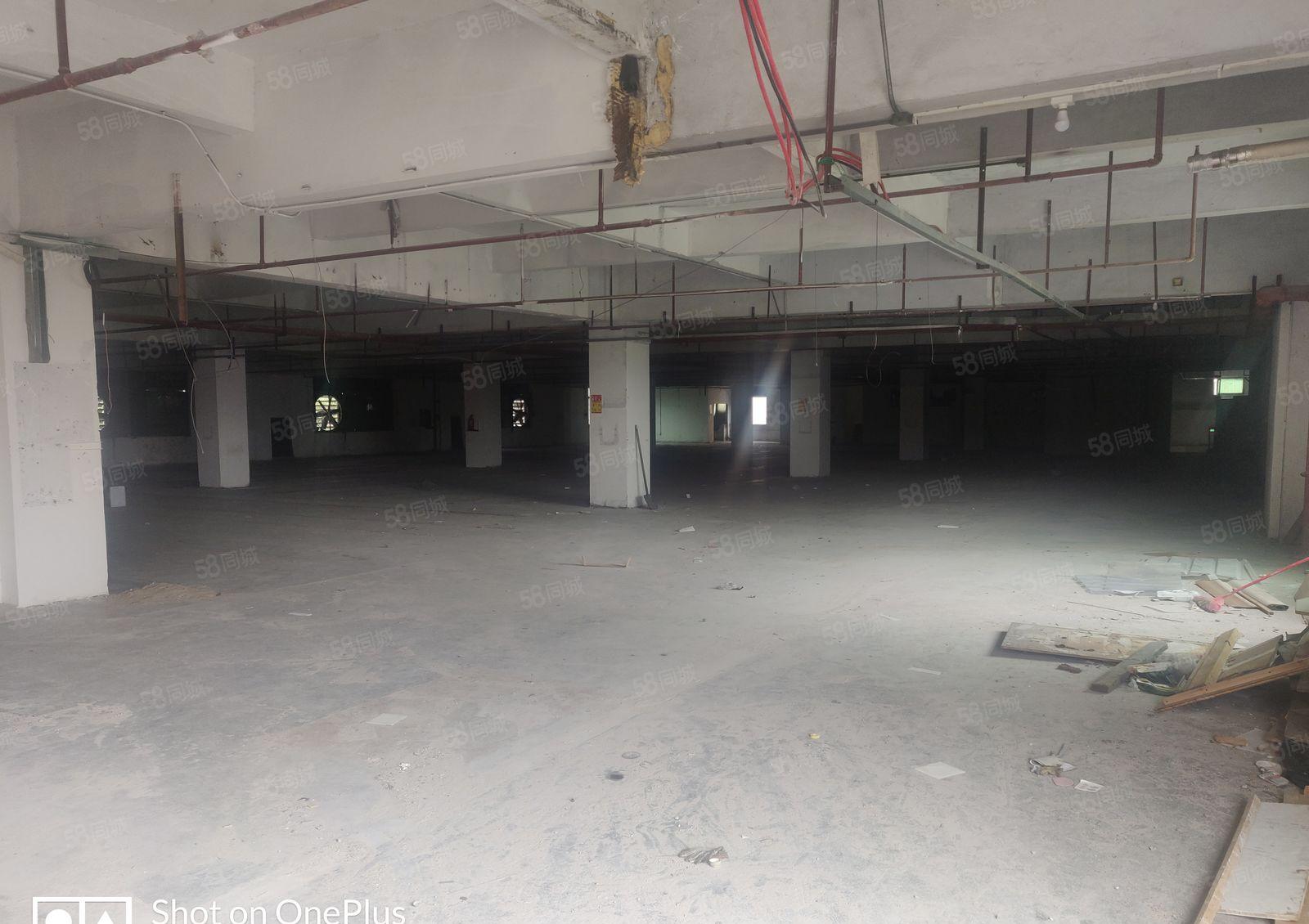 厚街新出楼上厂房，面积大租多少分多少，园区大好进车租金便宜