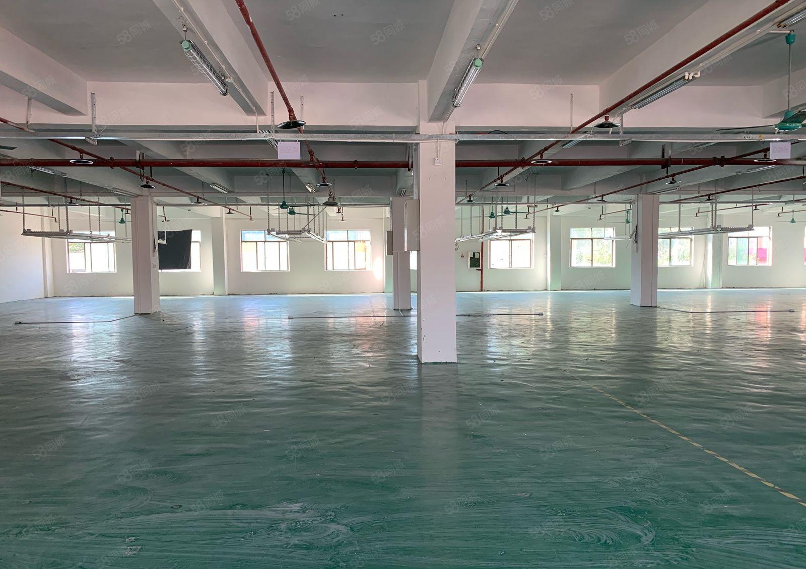 厚街原房东900平方实际面积厂房出租仓库出租水电办公室齐全