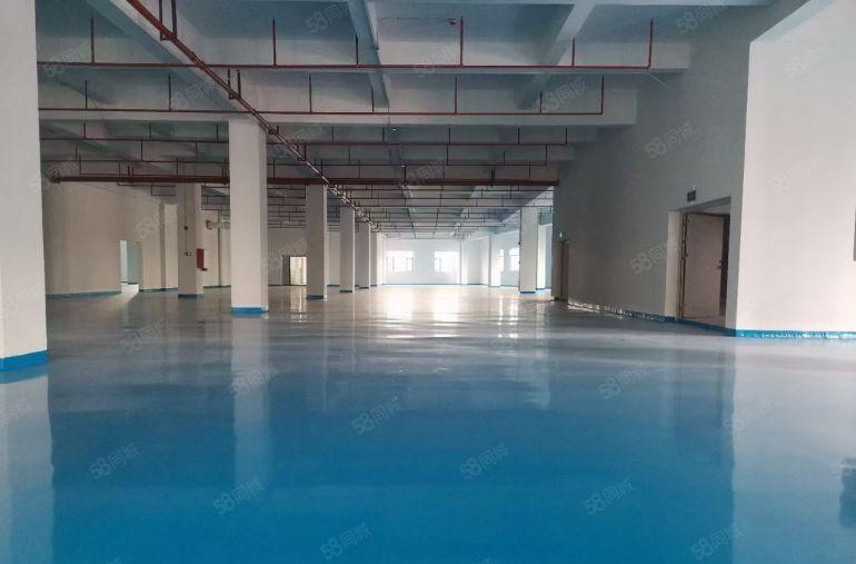 厚街全新厂房低价9.9块超长免租期现成地坪漆300平方起租