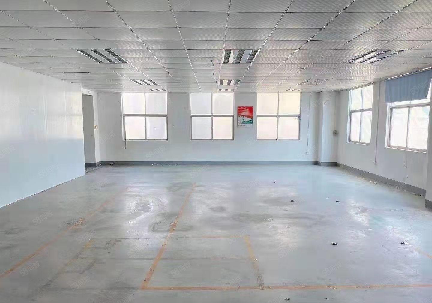 厚街三屯新出一楼800方电大有隔好办公室主线到位厂房仓库出租