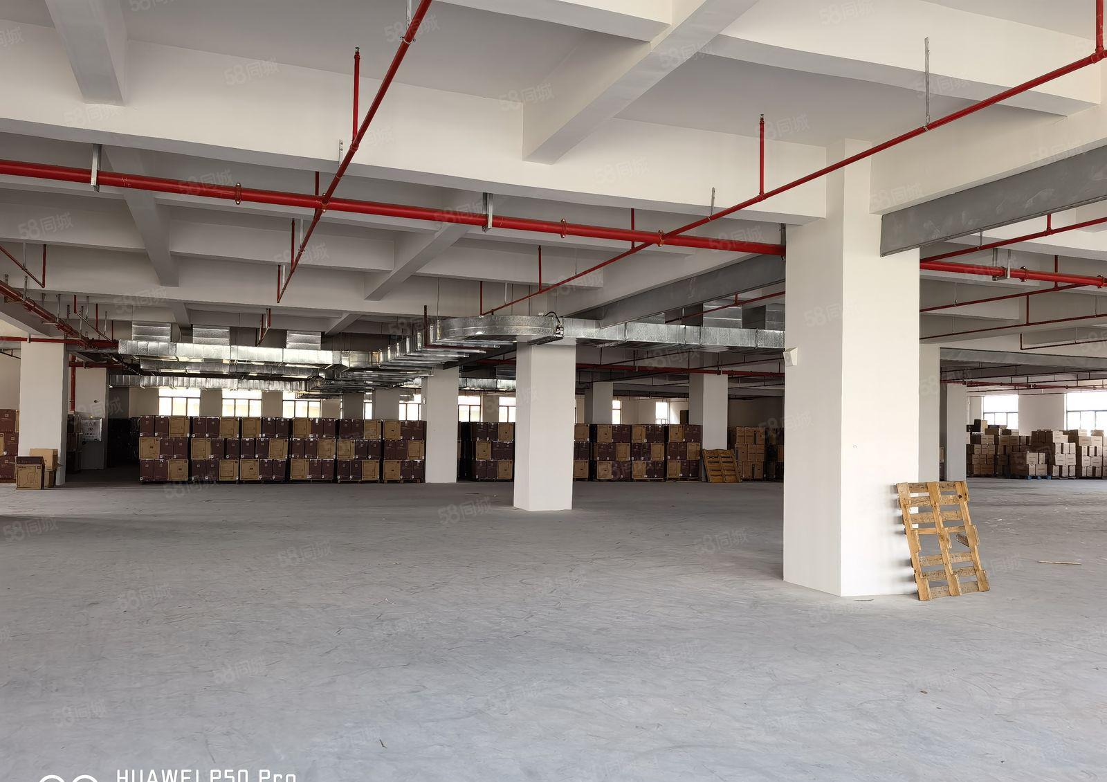 厚街临环莞快速 新形象高大尚 厂房3楼整层3500平可分一半