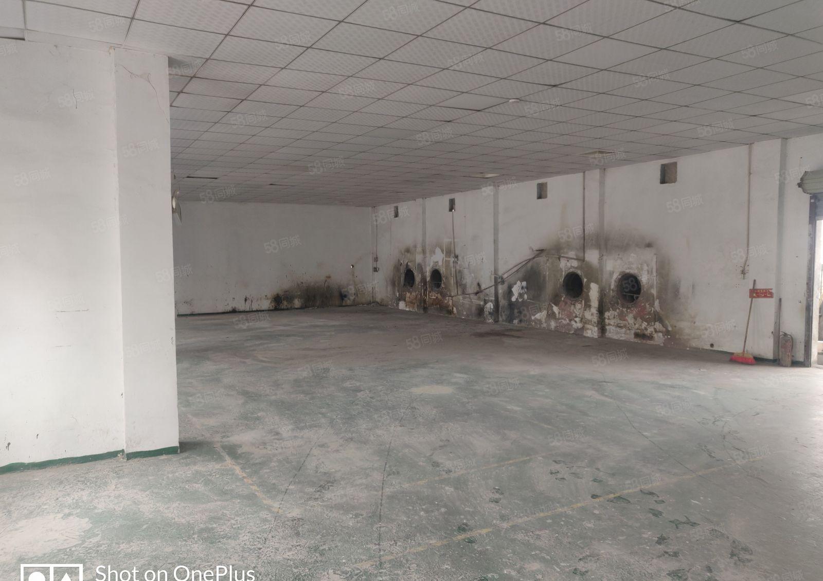 厚街桥头新出厂房，适合各行各业，能进大车，水电齐全，无柱子