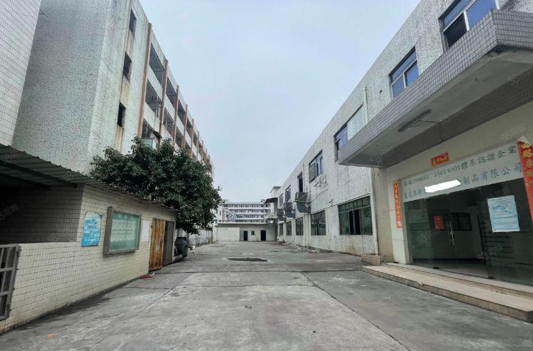 （厚街原房东独门独院出租）2层3000平米标准厂房出租