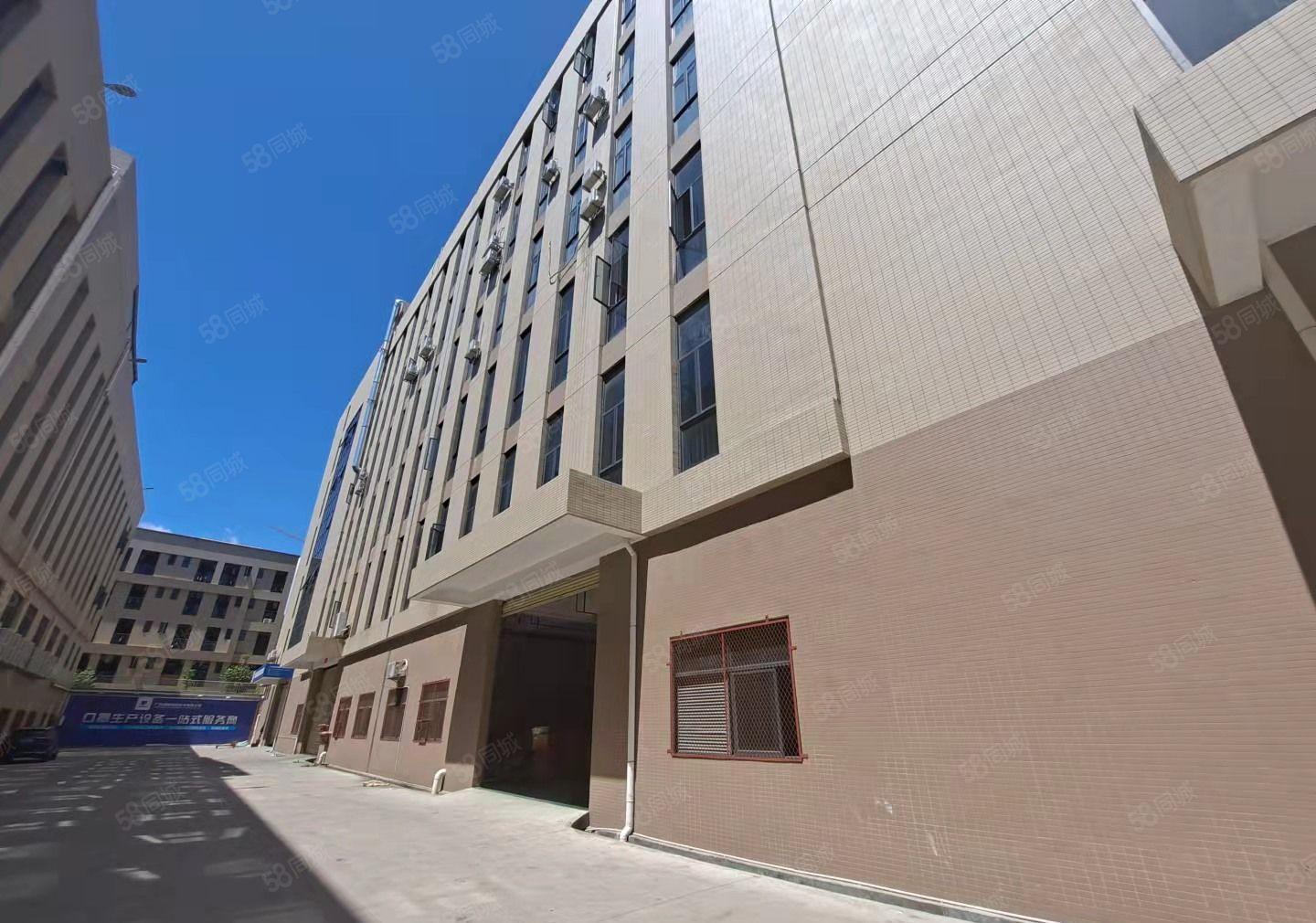 白濠新出标准厂房一楼1000平精装修现成水电厂房出租仓库出租