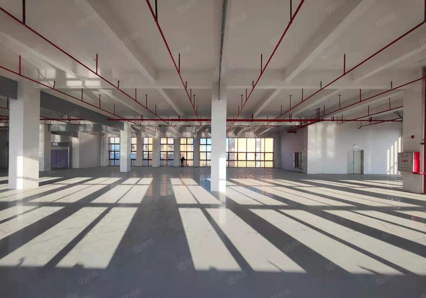 厚街涌口原房东1730平方全新地坪漆水电齐全