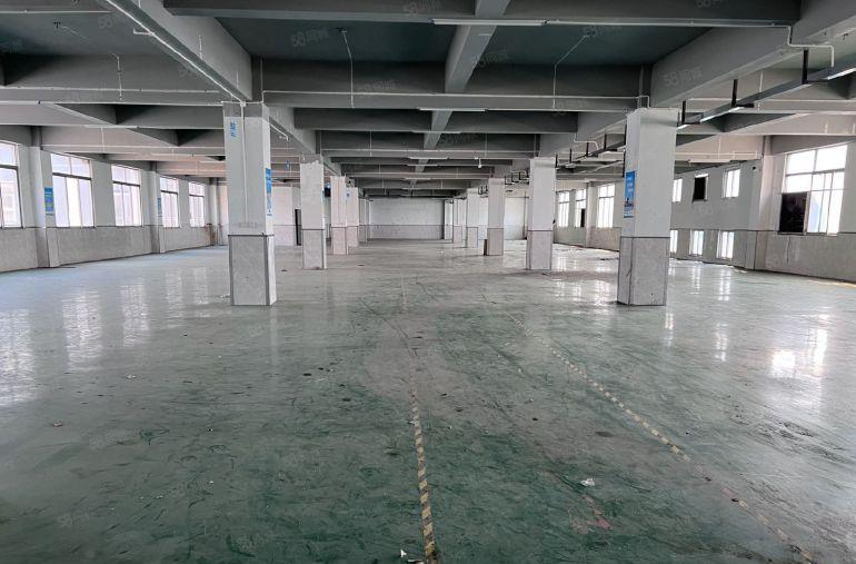 厚街全新独门独院可办环评厂房出租