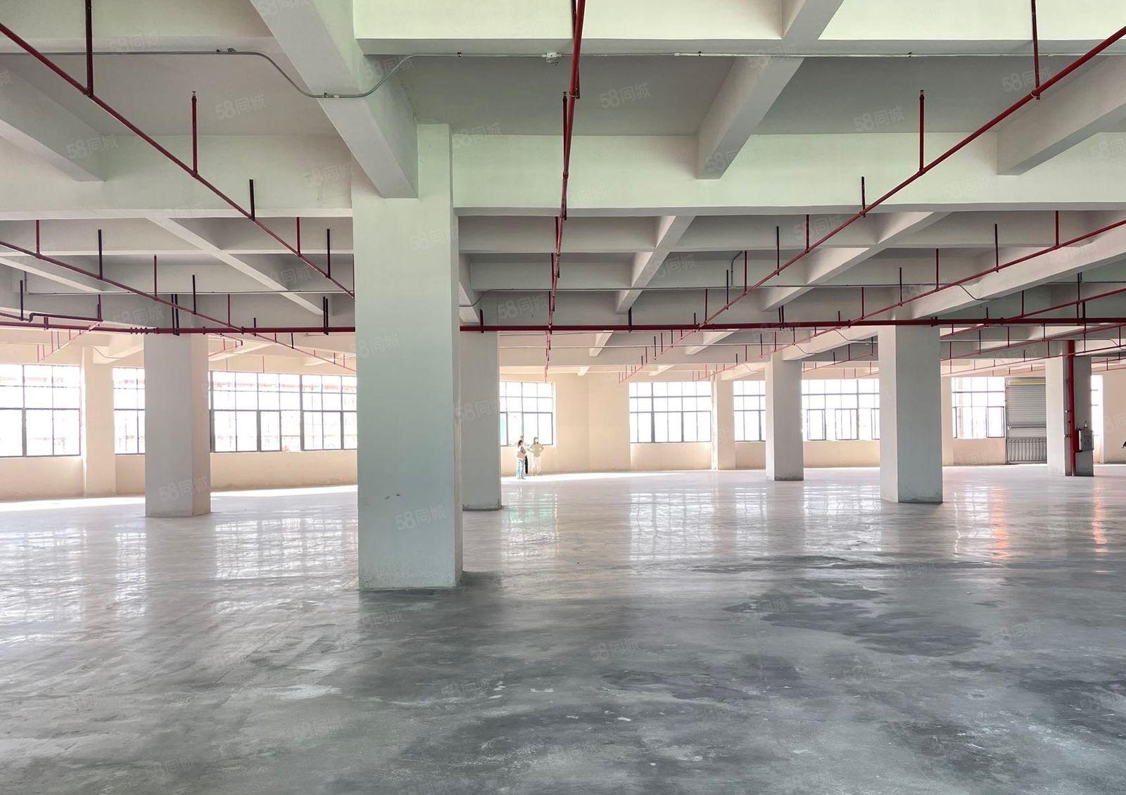 急租厚街实图（全新）独院2楼7500方厂房出租繁华好招工