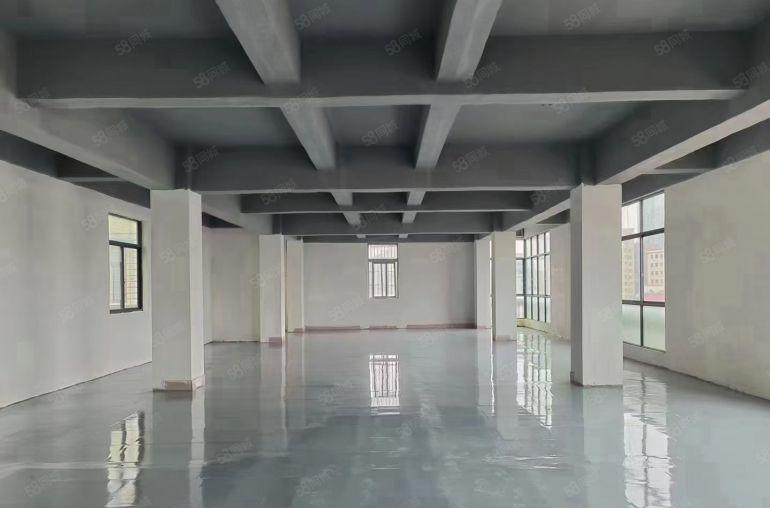 厚街独院厂房仓库实际面积4000方仅租12，可分租