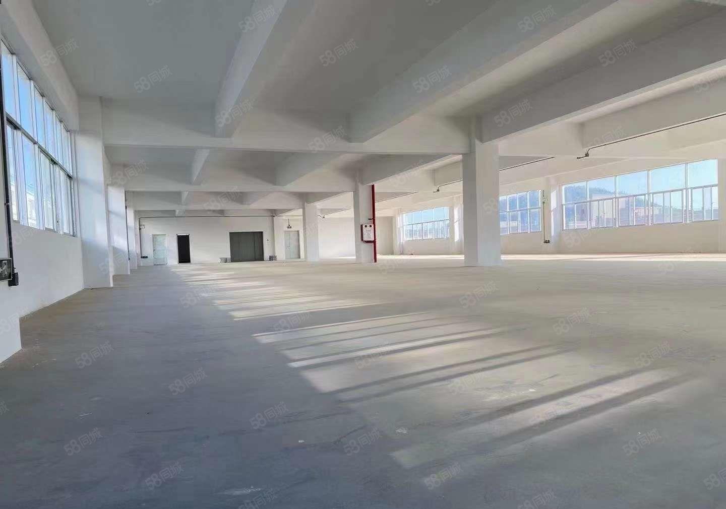 厚街原房东独院厂房1至3F6000方好空地大工业用地