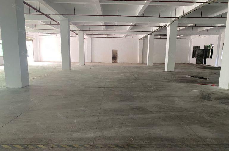 厚街镇1楼1680平独门独院原房东院子空地大易招工配套齐全