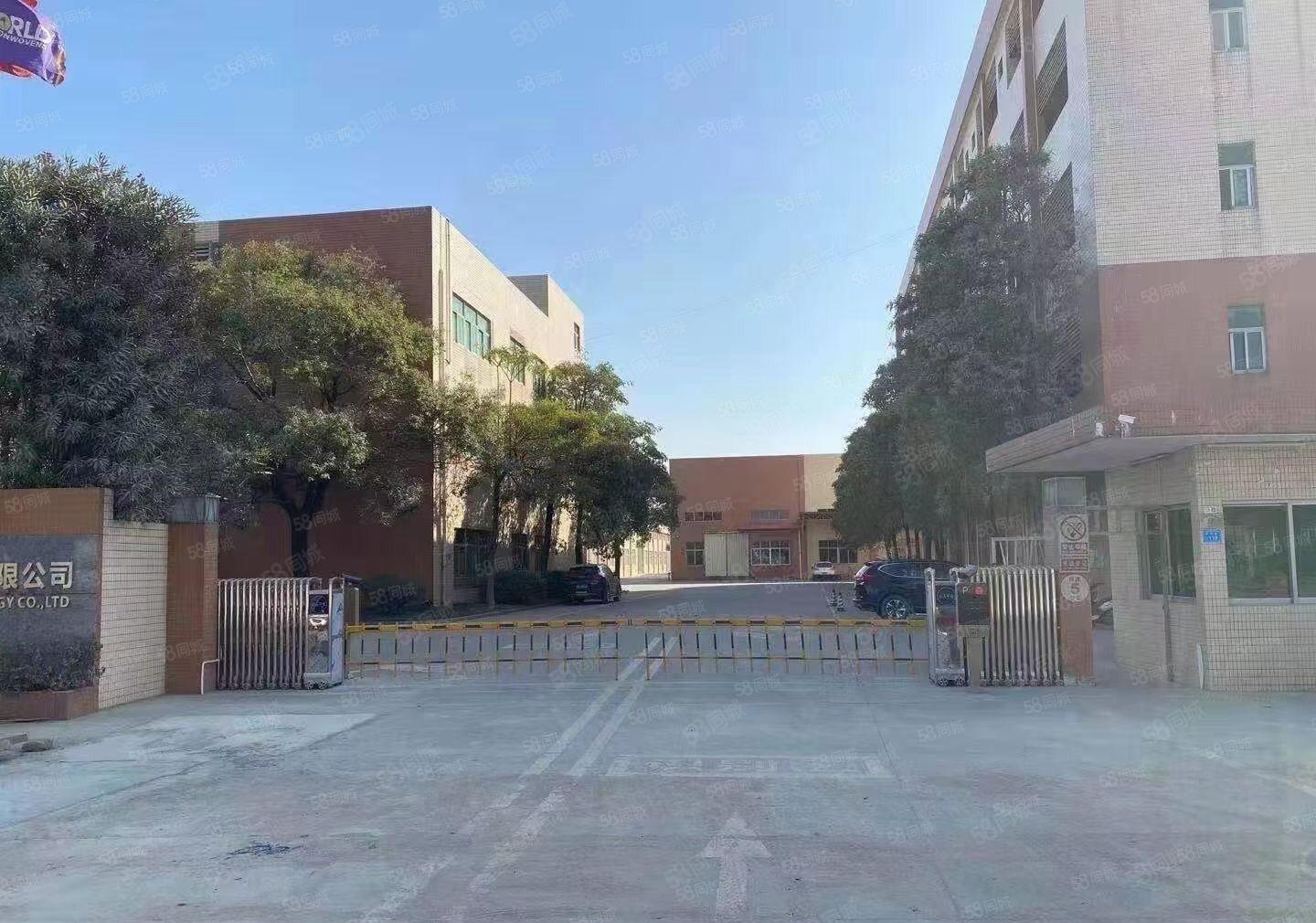 （独院实图）单一层3000平9米高独门独院厂房出租电费自己交