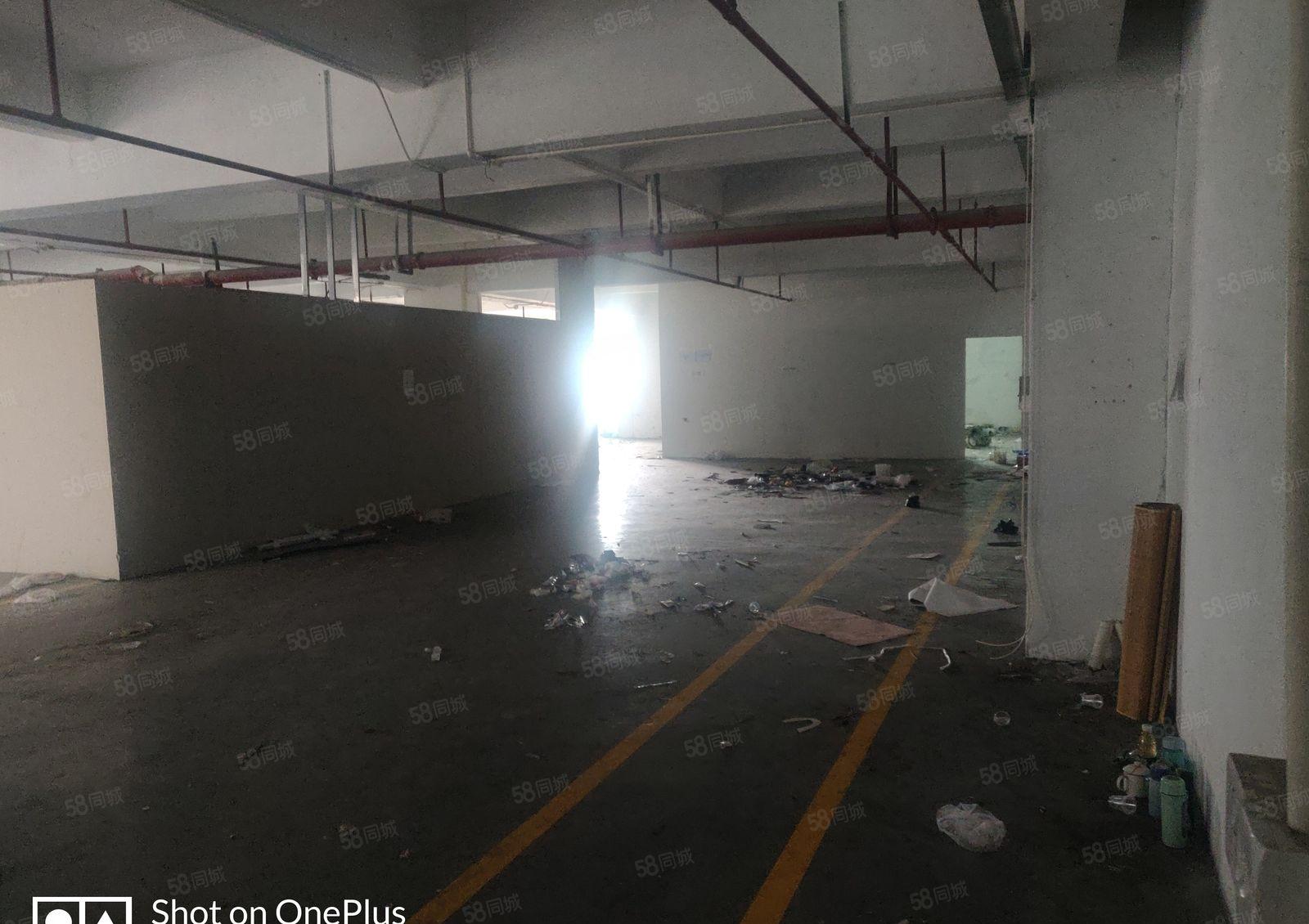 厚街新出楼上厂房，面积大租多少分多少，园区大好进车租金便宜