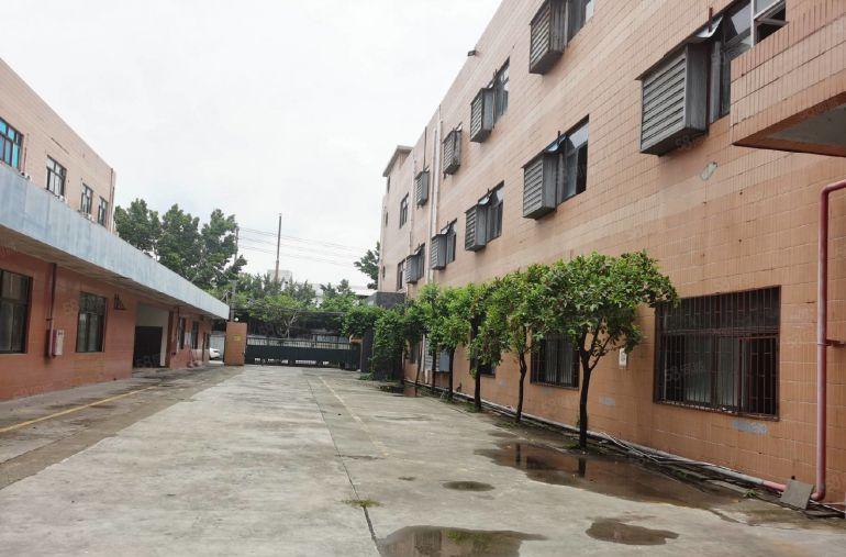 厚街6000方原房东独门独院低价厂房出租，精装修厂房，可分租