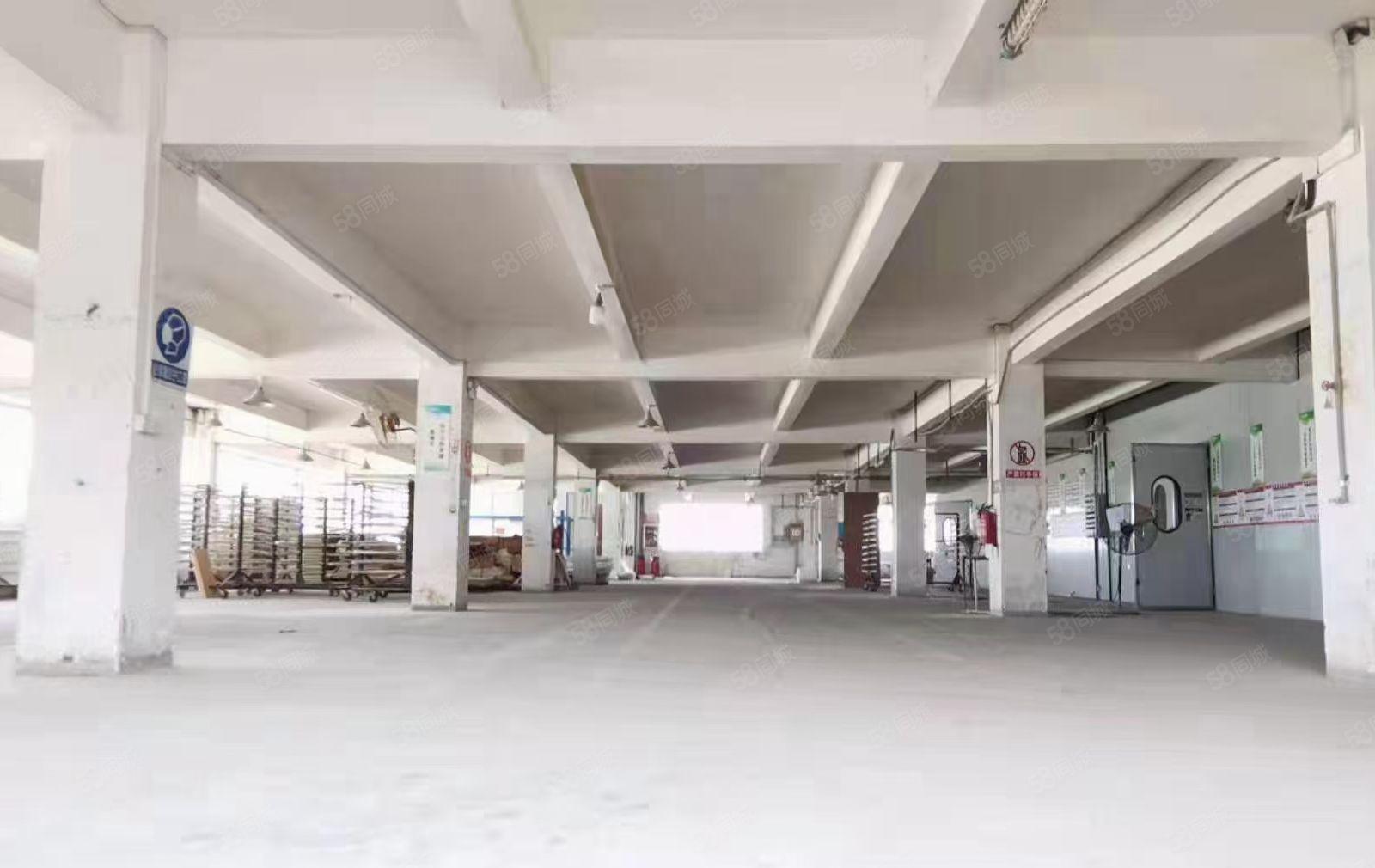 厚街镇精选一千平方工业厂房轻加工小型加工厂房低价出租