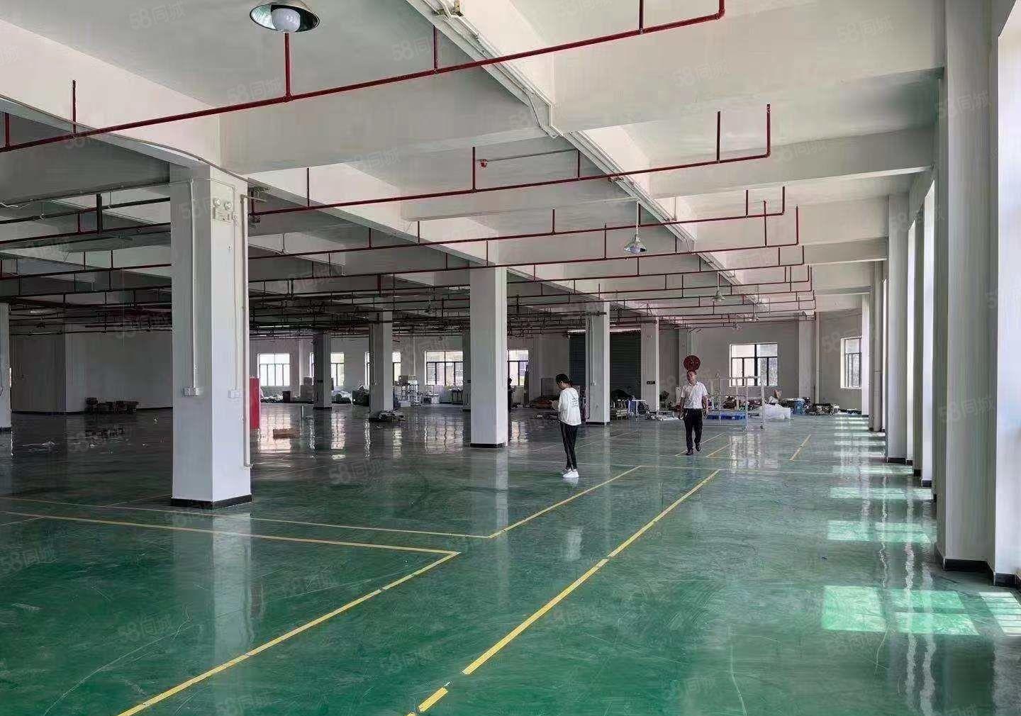 厚街汀山原房东1750平方精装修厂房仓库水电齐全