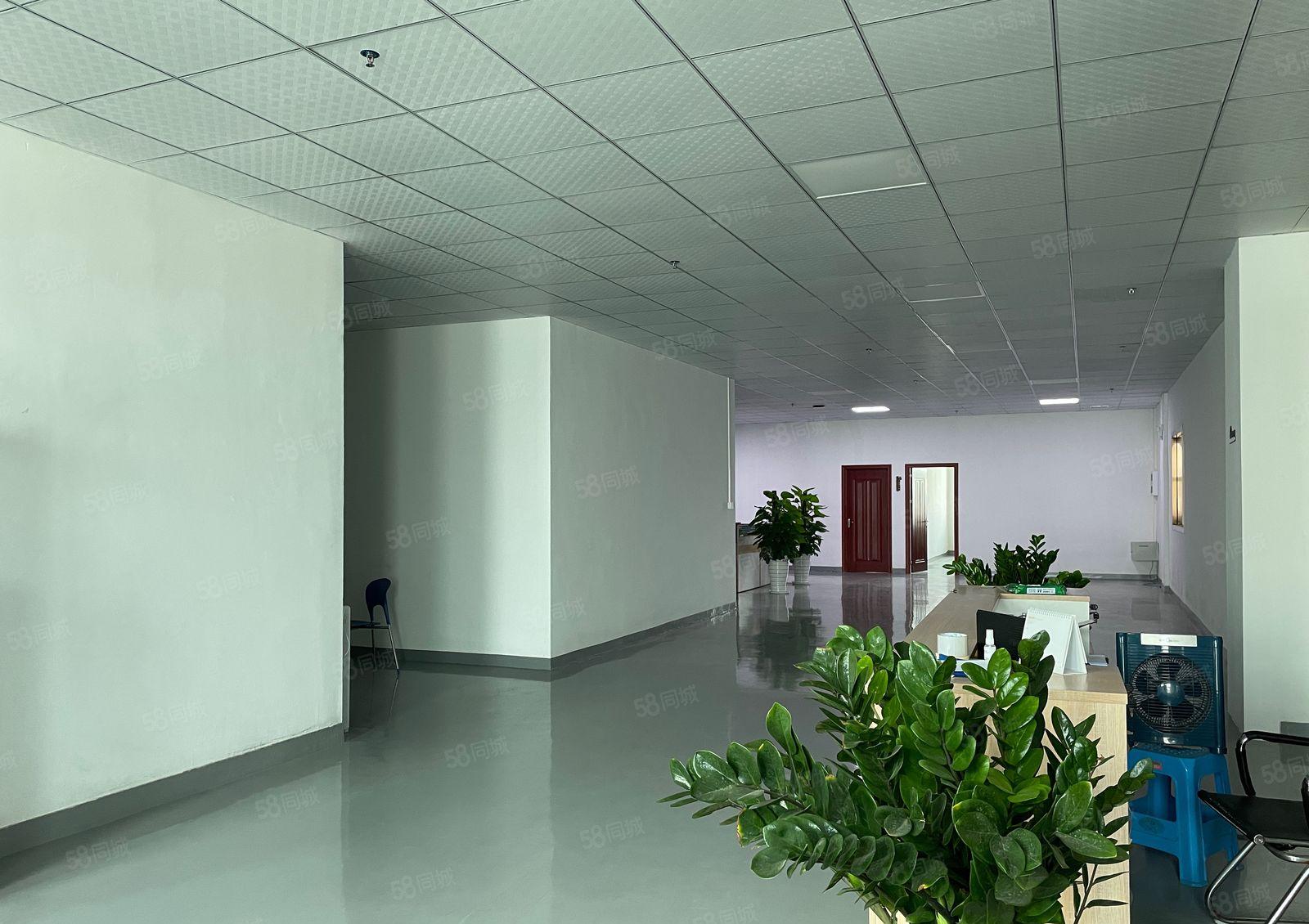 厚街（现成装修）全新独院楼上整层2500方厂房出租适合电子