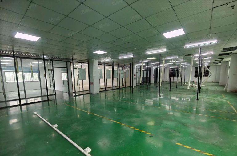 厚街 园区楼上精装修厂房出租 适合直播 电商 贸易 办公电子