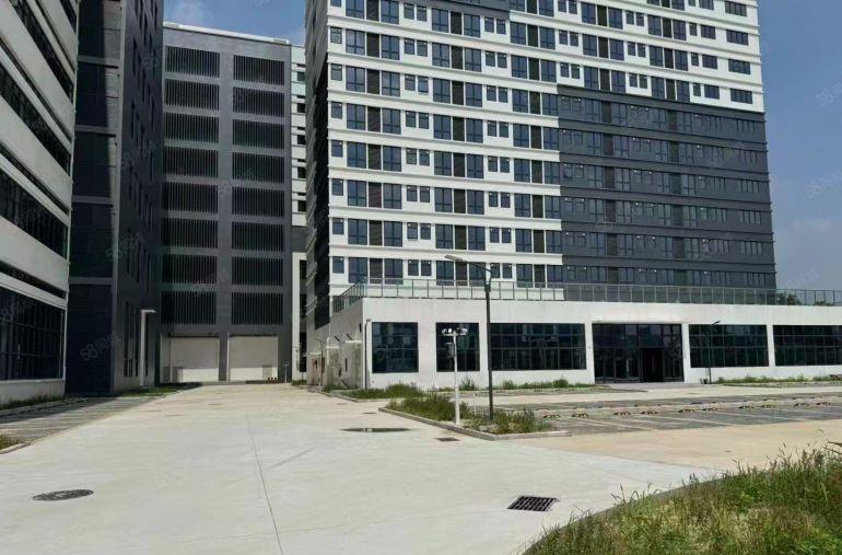 厚街镇1000平方红本厂房出租精装修带消费喷淋可分租