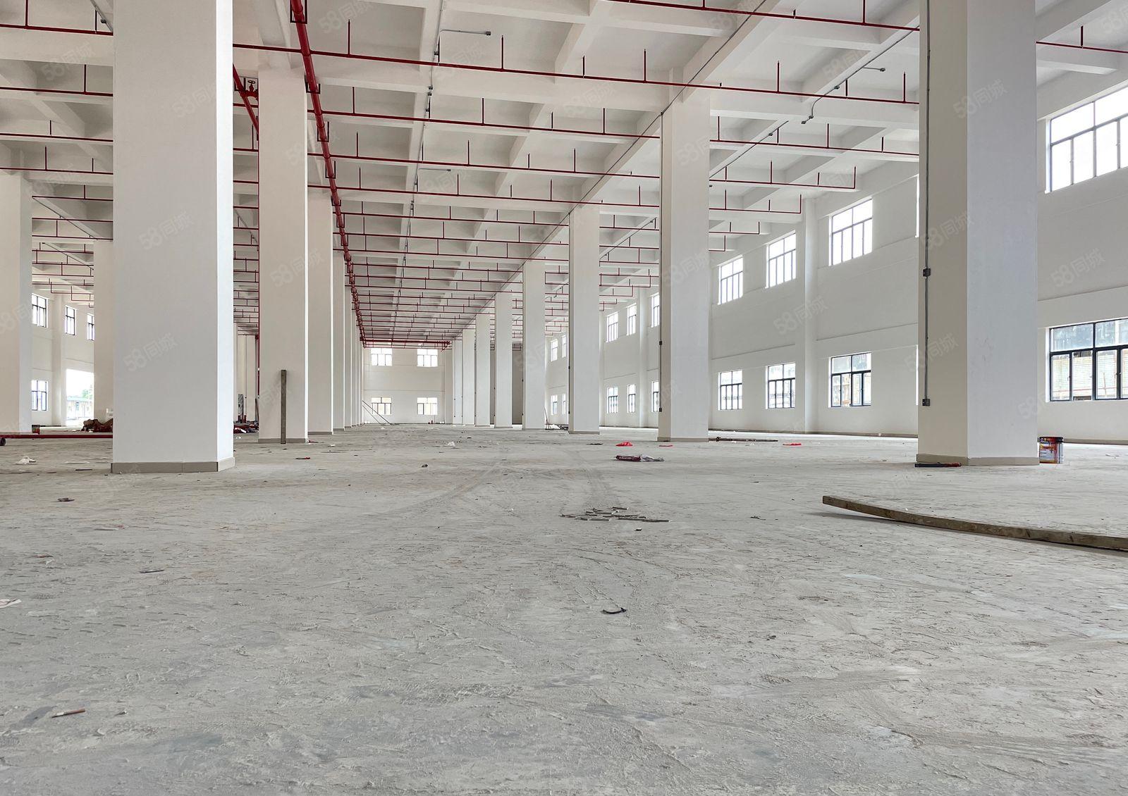 厚街高端产业园全新独院3.8万方厂房出租2000起分全新装修