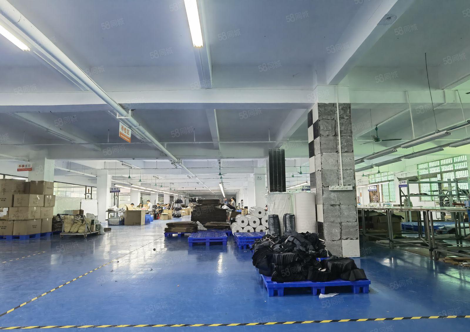 13块厚街宝屯精装修独院厂房仓库3000方急租