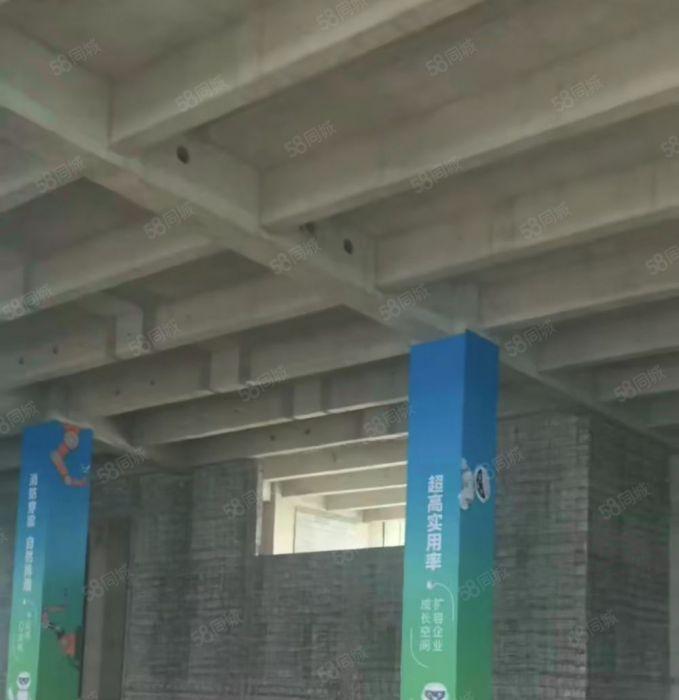 厚街厂房全新未使用高标厂房层高5.4米6米7.9米低价招商中