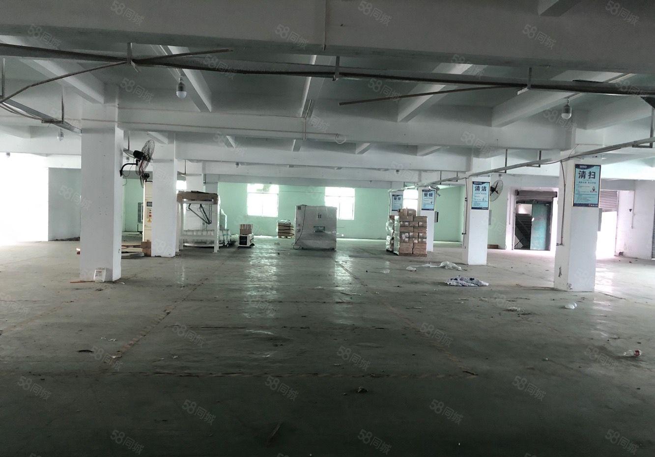 厚街园区厂房出租大小可分，面积3320平