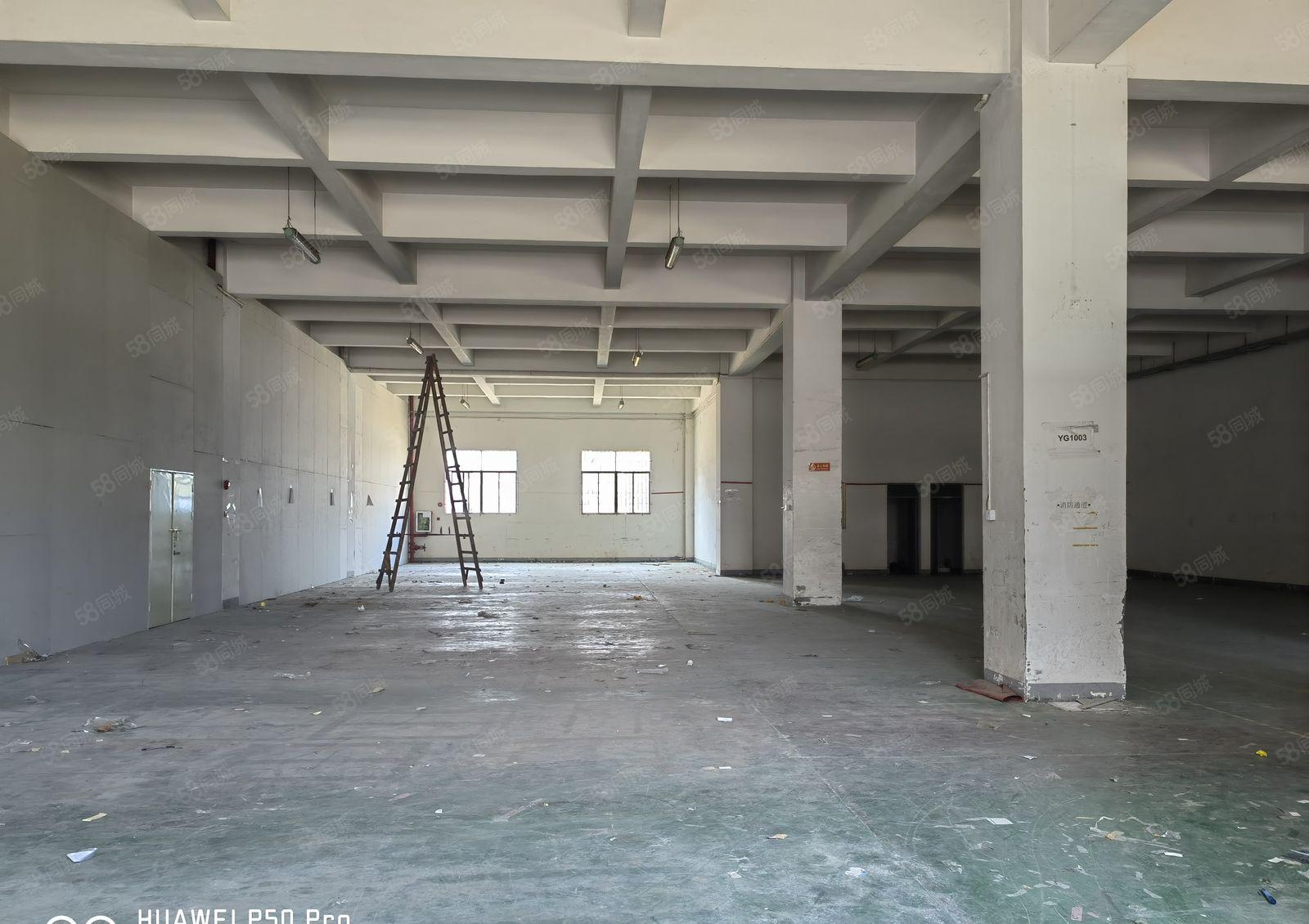 厚街新出超高7.5米标准一楼5400平方 工业园厂房大小可分