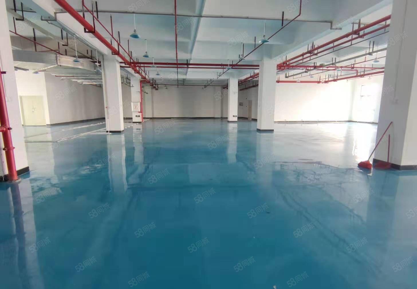 真实全新厂房 全新装修出租！