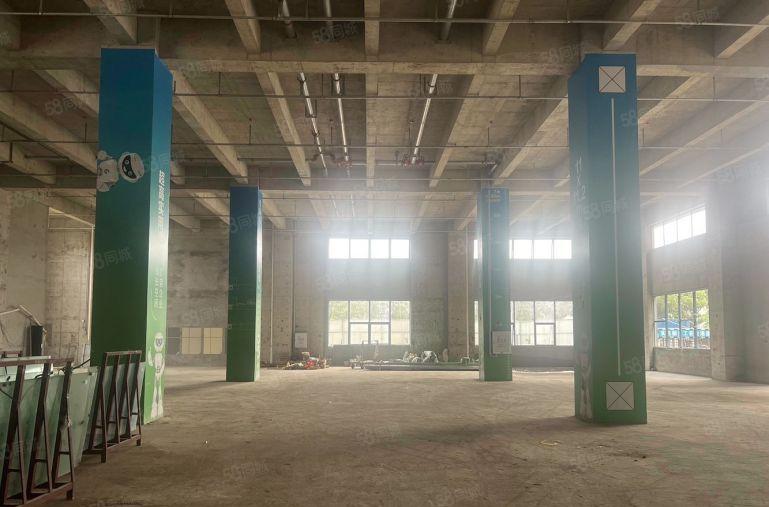 厚街全新工业园M1厂房14起租含税随时可看，5吨货梯水电正常