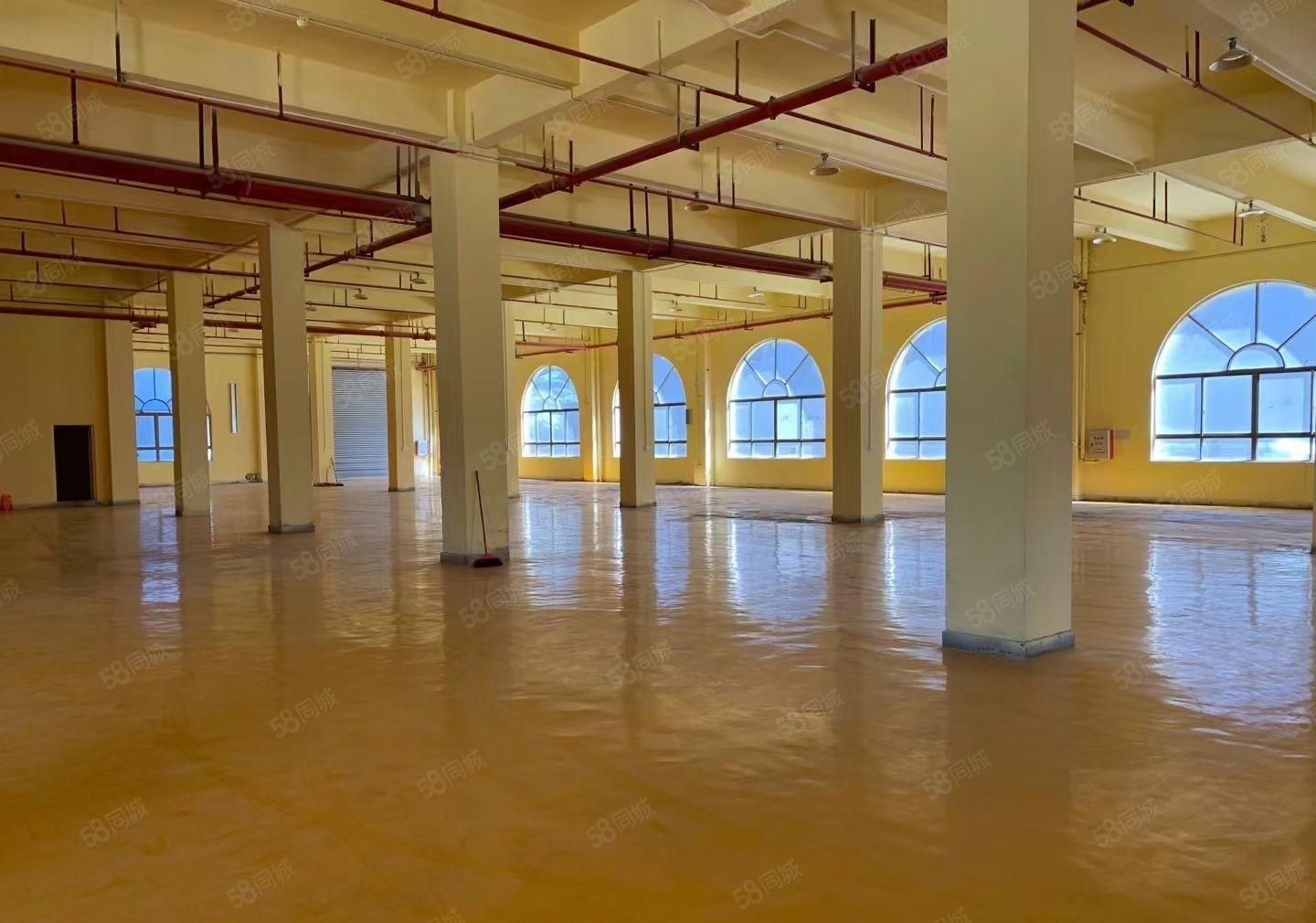 东莞新出花园式原房东厂房3880平方滴水10米出租