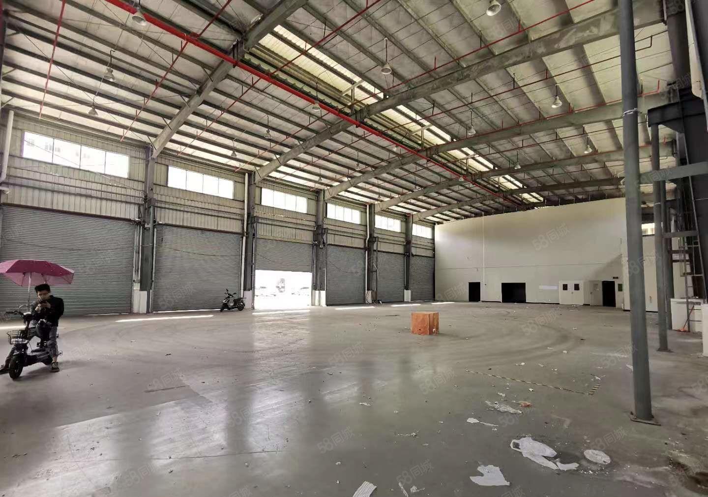 厚街桥头工业区新出钢构滴水12米1800平方大空地精装修厂房
