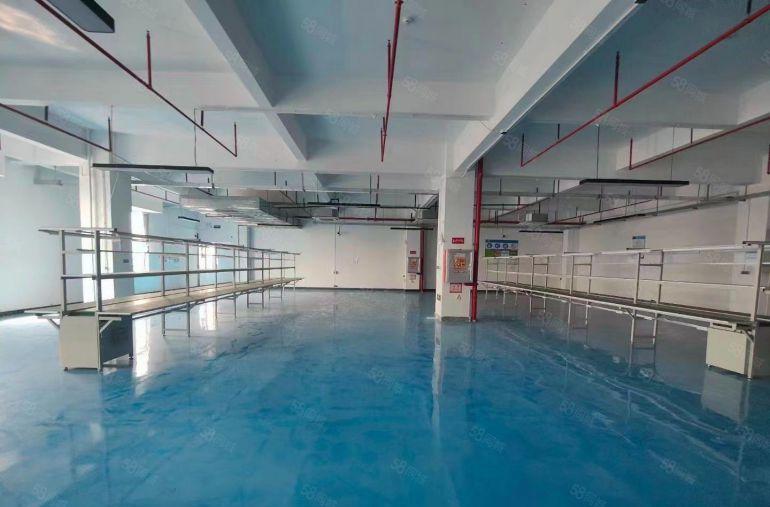 厚街厂房出租全新地坪漆1750平米适合电子，五金，包装