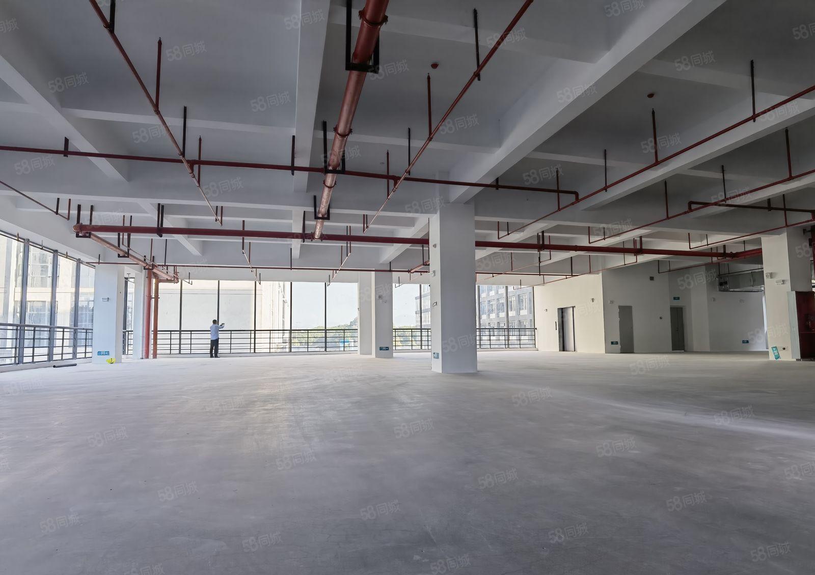 厚街全新红本独院三栋五层52000方