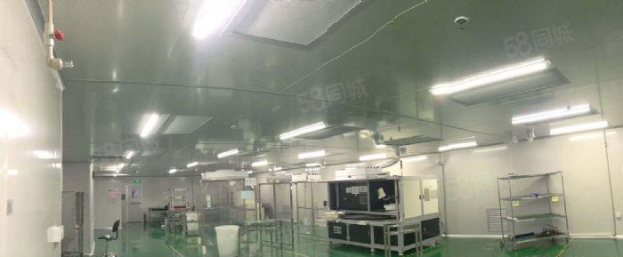 沙田原房东精装修无尘车间1150平低价招租交通方便