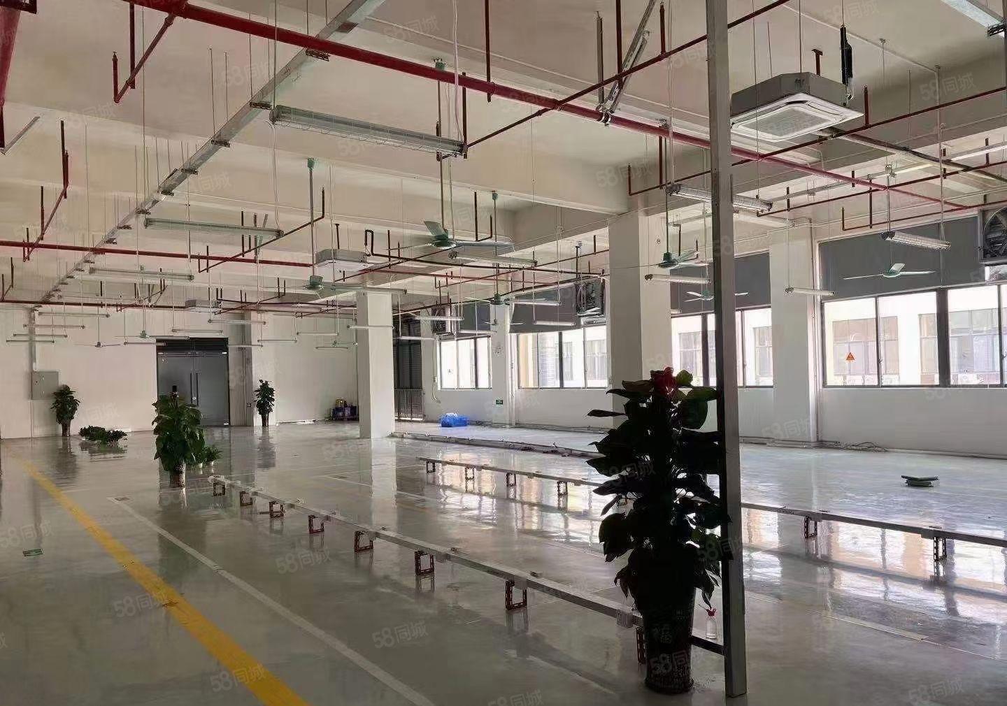 厚街原房东直租2400平方精装修水电齐全全新厂房