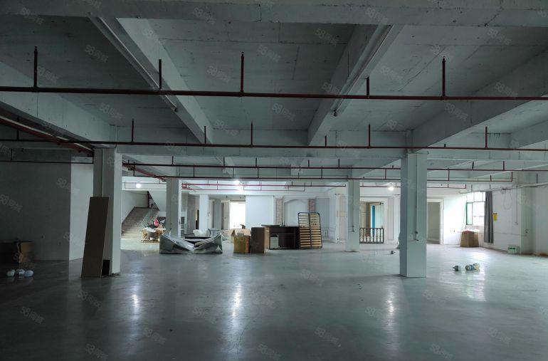 原房东标准独院厂房出租 主干道边上 适合 五金 设备 鞋材