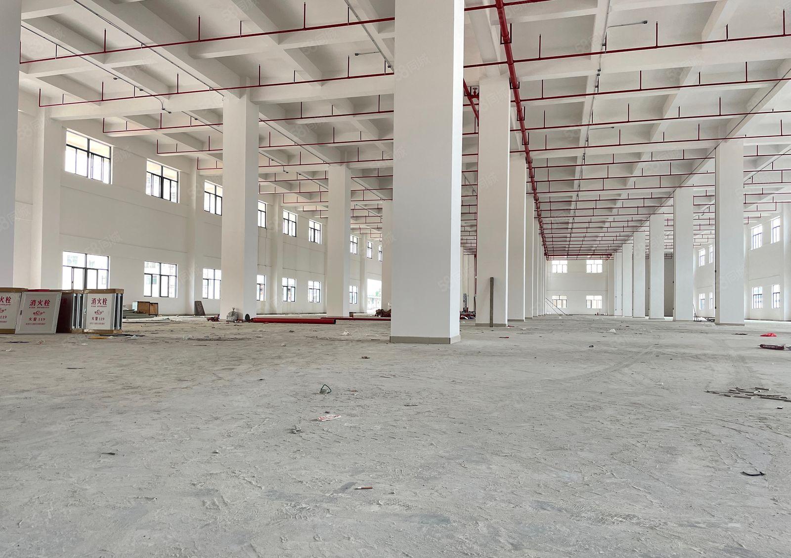 厚街全新独院5000方厂房出租适合注塑五金电子机械可办环评