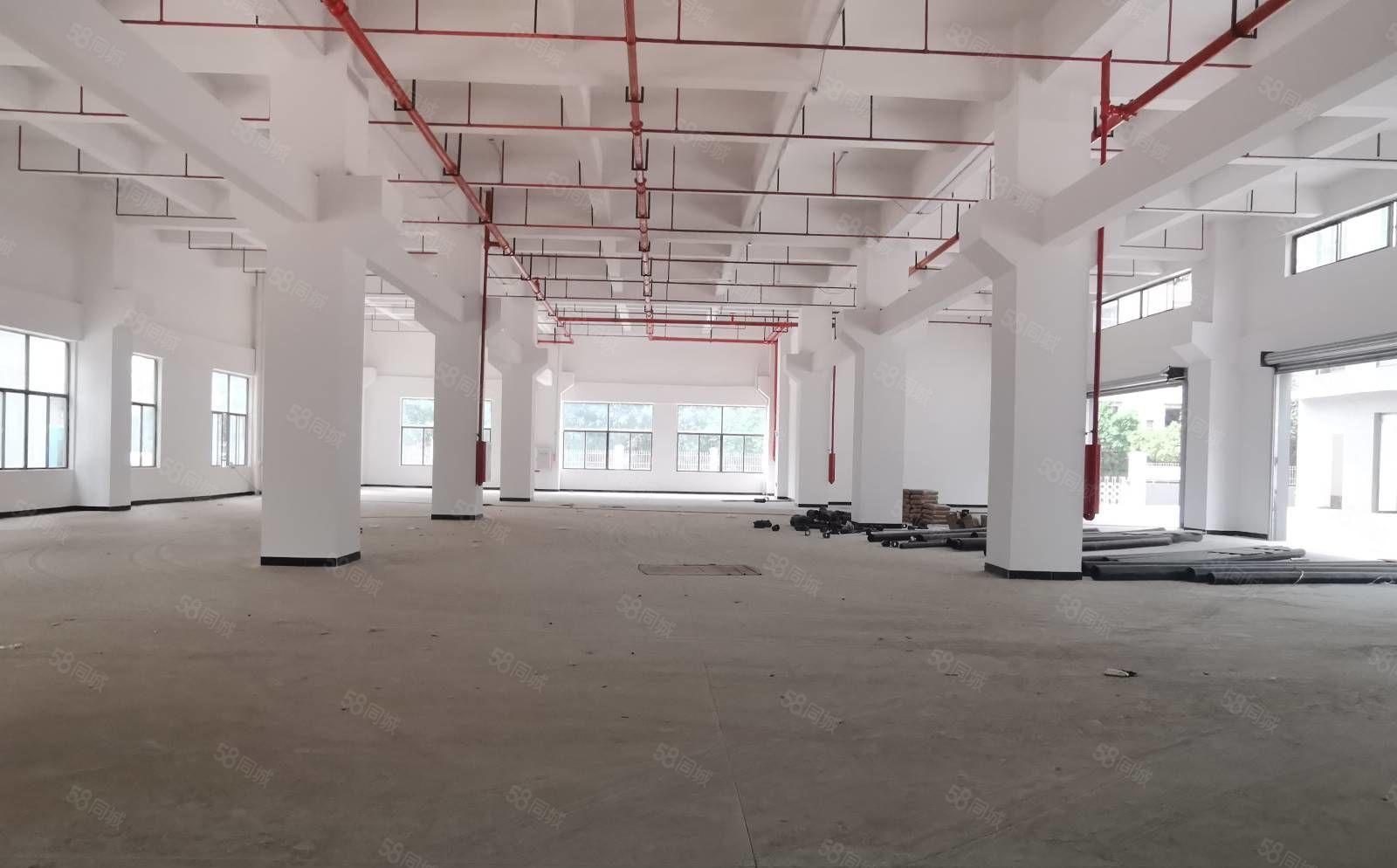 厚街全新独院工业厂房招租，证件齐全可办环评，超大空地