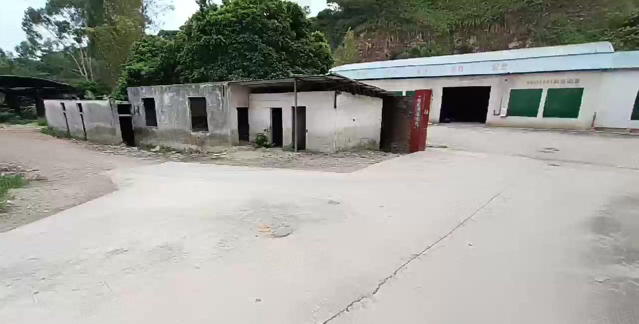 原房东直租 厚街独院厂房出租2000平 仓库出租可分租带尺量