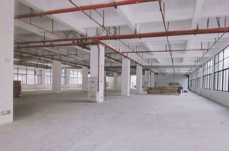 厚街新出原房东全新厂房15000平米，带卸货平台，滴水9米