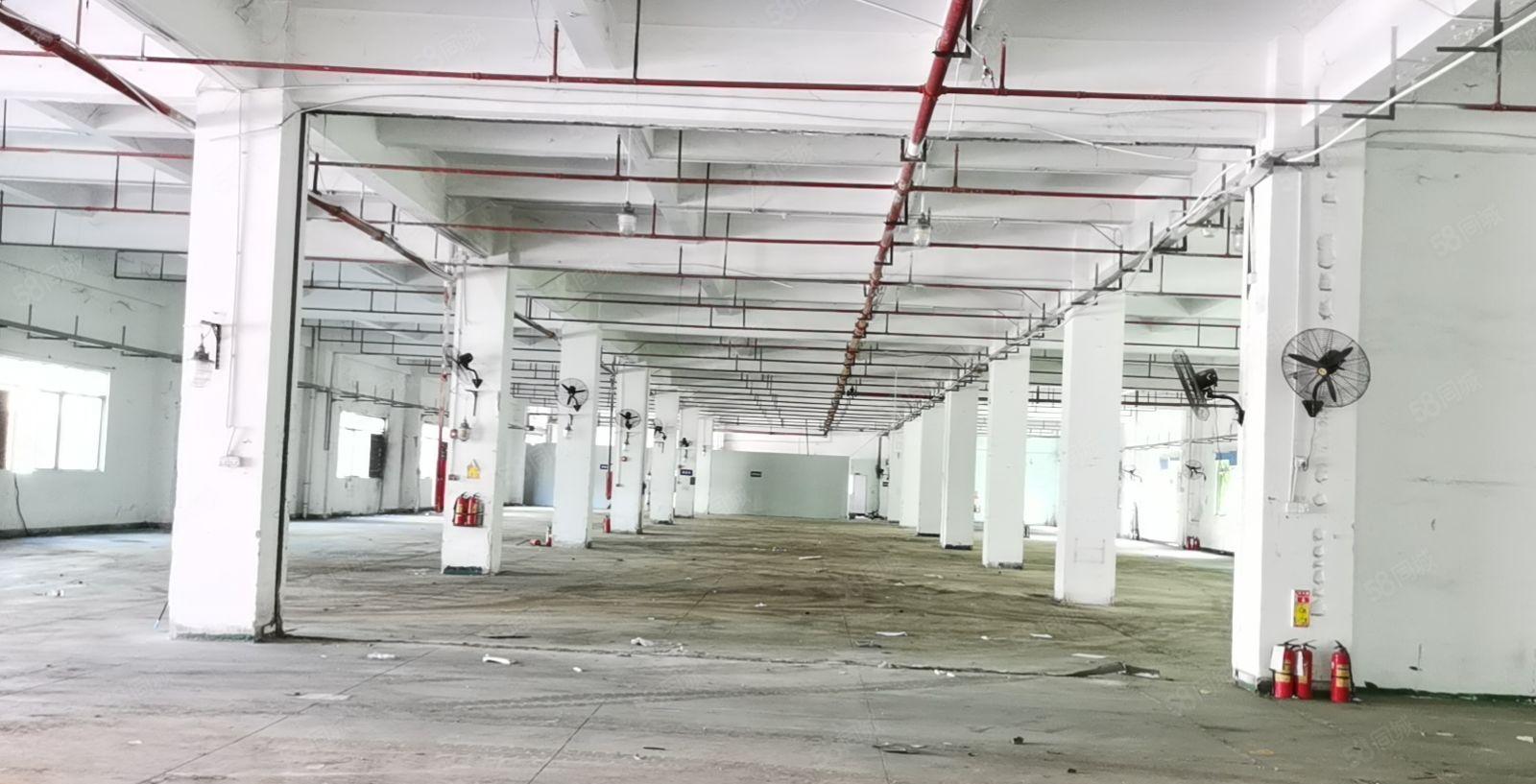 （独门独院）厚街原房东独门独院4000平实际面积出租