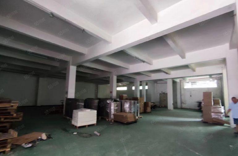 厚街镇新出厂房原房东 独院厂房一场层900平方带独立办公室